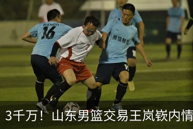 3千万！山东男篮交易王岚嵚内情曝光，乌戈有想法，辽篮索要550万